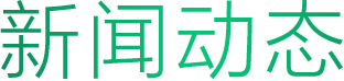 新闻动态
